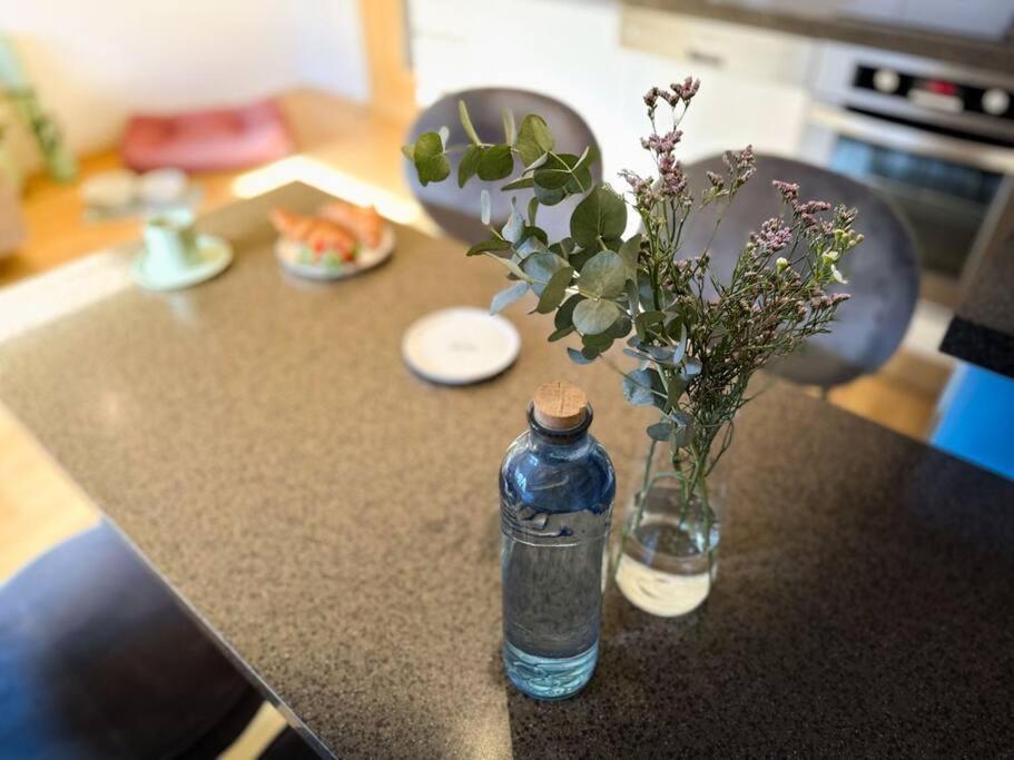 V Centru Deni Apartman Alamóc Kültér fotó